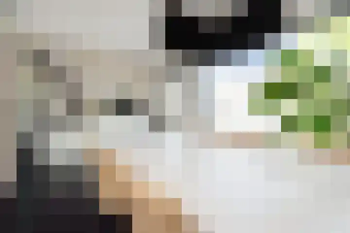 Muidenkade 5 Amersfoort thumbnail 25