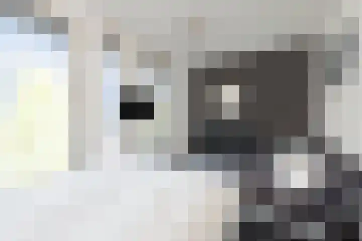 Muidenkade 5 Amersfoort thumbnail 30