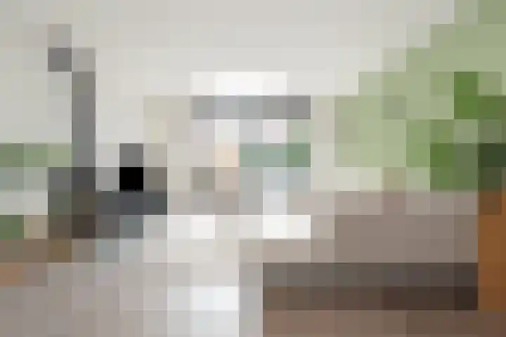 Muidenkade 5 Amersfoort thumbnail 4