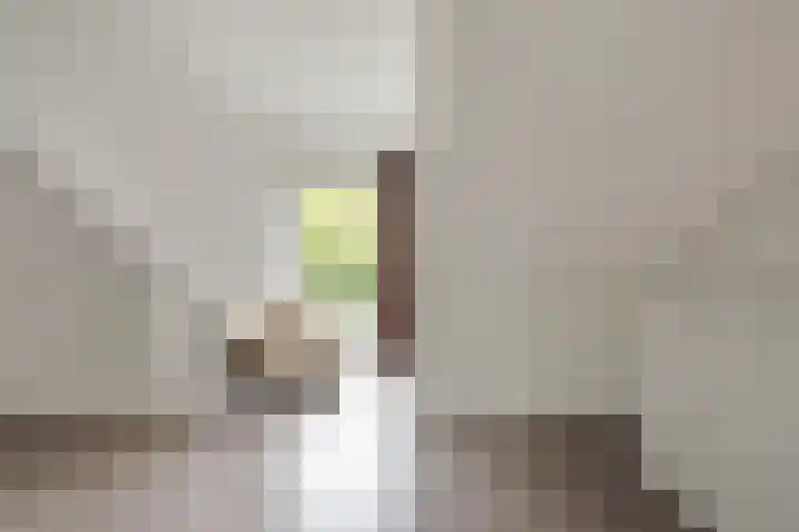 Muidenkade 95 Amersfoort thumbnail 26