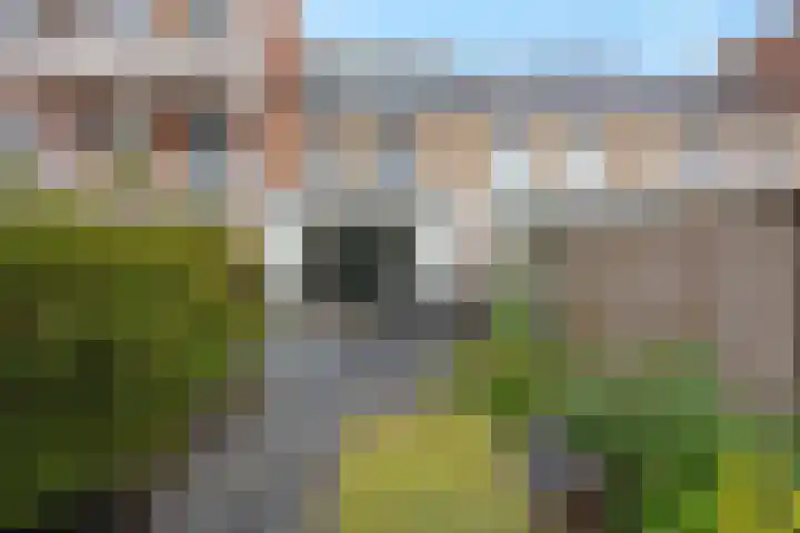 Muidenkade 95 Amersfoort thumbnail 34