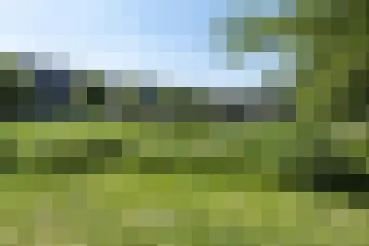Muidenkade 95 Amersfoort thumbnail 36