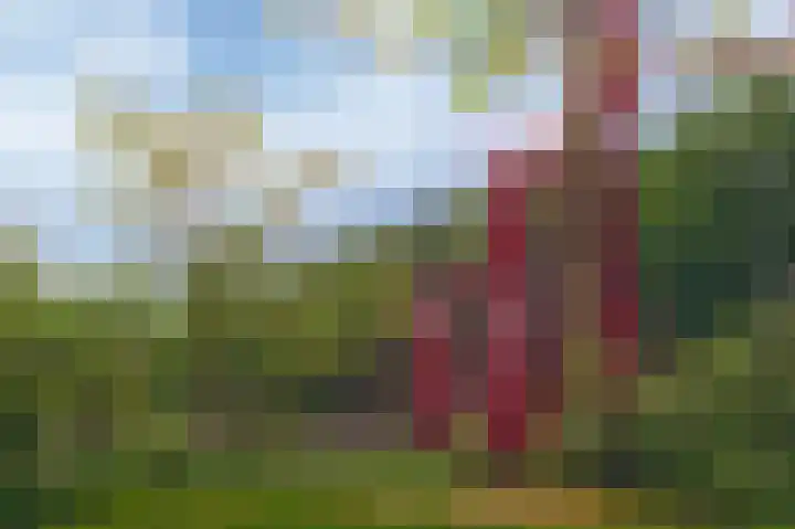 Muidenkade 95 Amersfoort thumbnail 39
