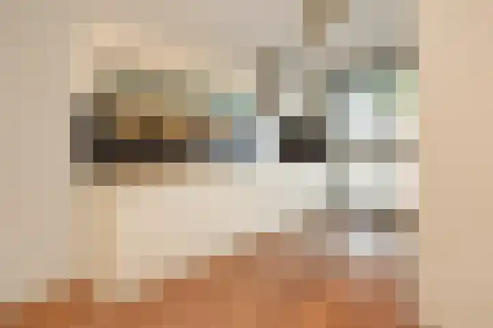 Muidenkade 95 Amersfoort thumbnail 8