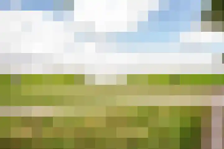 Muidenpad 11 Harderwijk thumbnail 36
