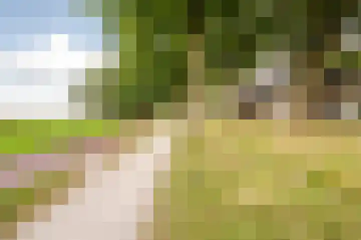 Muidenpad 11 Harderwijk thumbnail 37