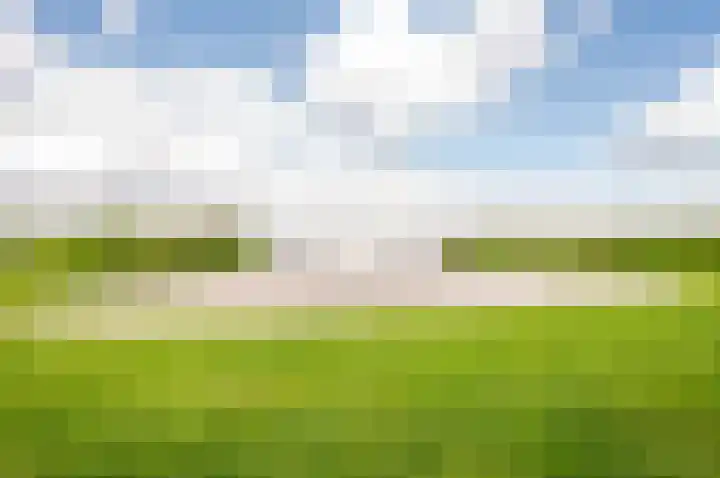 Muidenpad 11 Harderwijk thumbnail 38