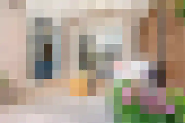 Muidenpad 11 Harderwijk thumbnail 41