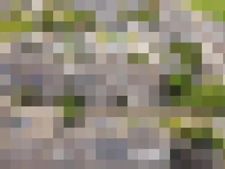 Muidenpad 11 Harderwijk thumbnail 49
