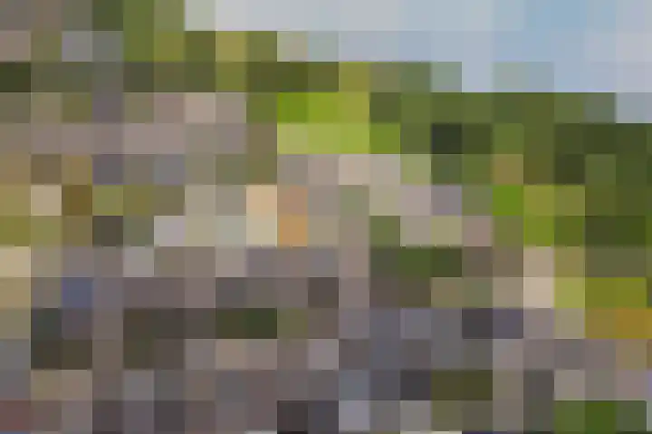 Muidenpad 11 Harderwijk thumbnail 50