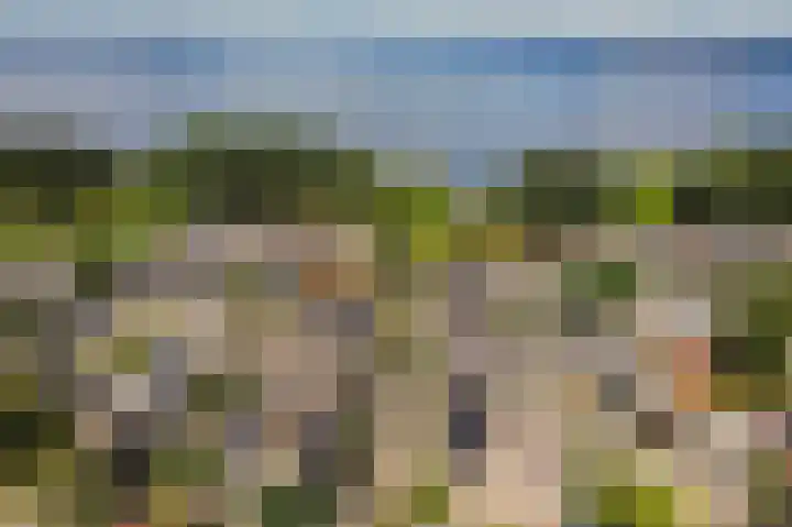 Muidenpad 11 Harderwijk thumbnail 51