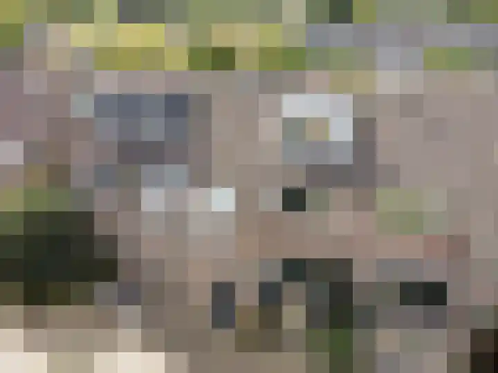 Muidenpad 11 Harderwijk thumbnail 54