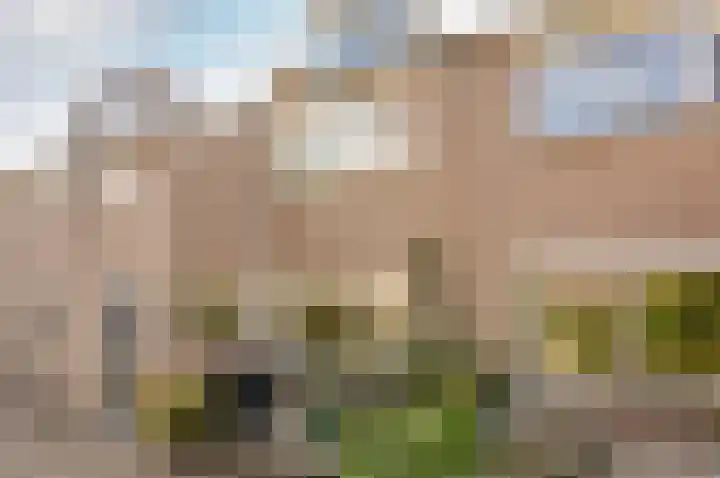 Muidenpad 11 Harderwijk thumbnail 7