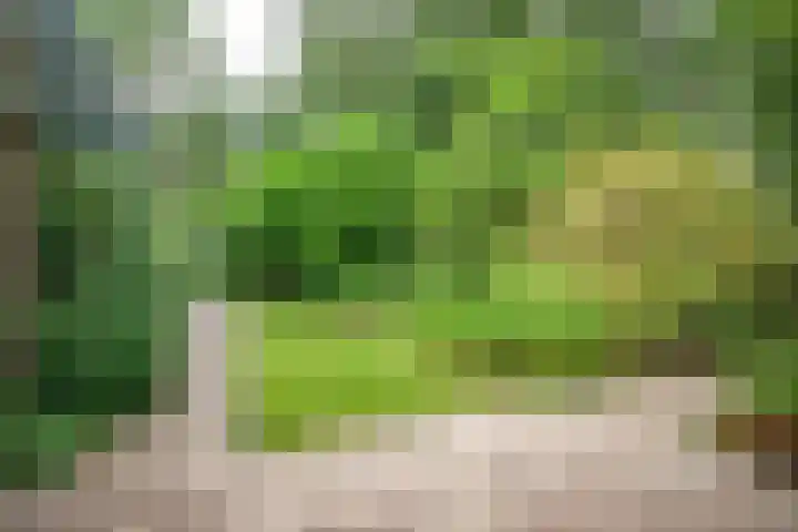 Muidenstraat 10 Emmeloord thumbnail 11