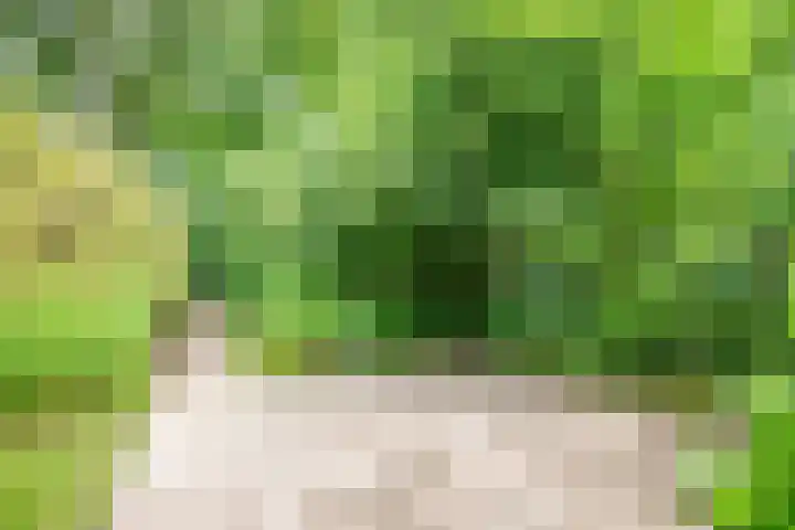 Muidenstraat 10 Emmeloord thumbnail 12