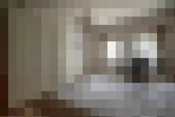 Muidenstraat 10 Emmeloord thumbnail 33