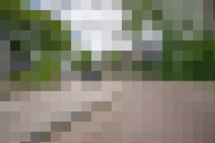Muidenstraat 10 Emmeloord thumbnail 44