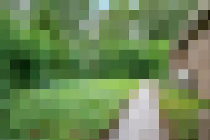 Muidenstraat 10 Emmeloord thumbnail 6