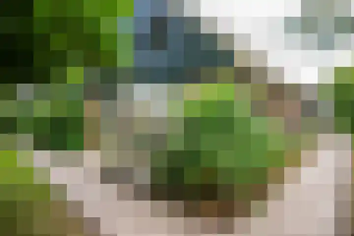 Muidenstraat 10 Emmeloord thumbnail 9