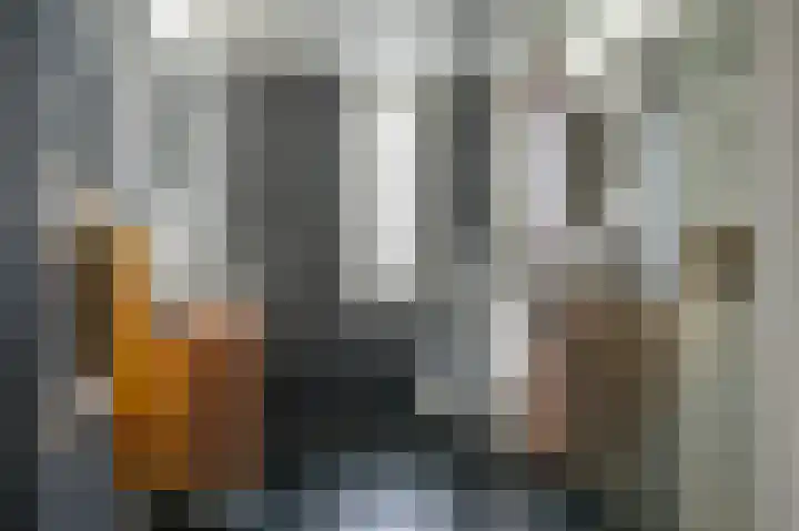 Muidenstraat 21 Emmeloord thumbnail 18