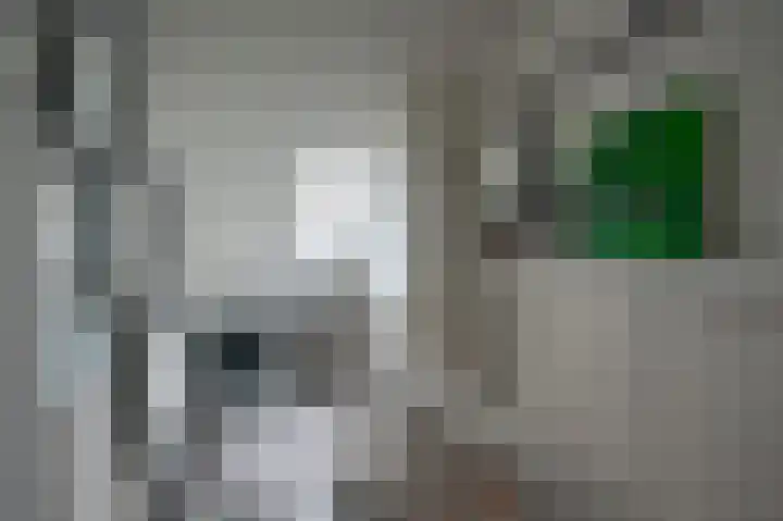 Muidenstraat 21 Emmeloord thumbnail 27