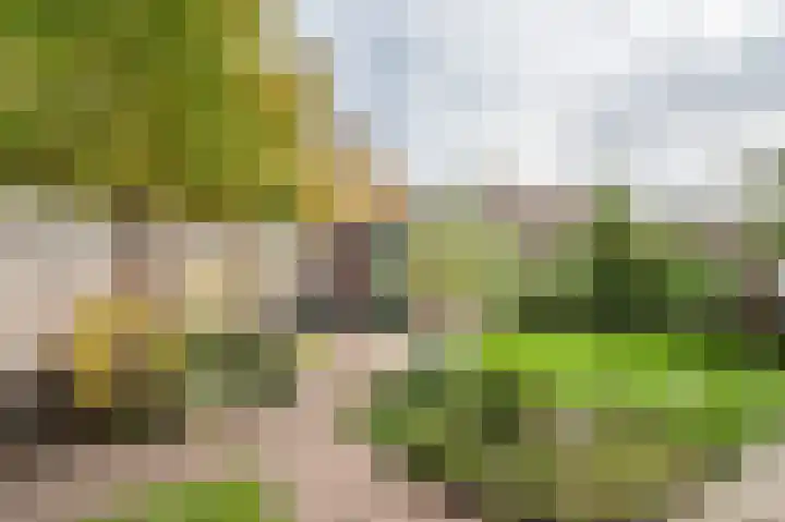 Muidenstraat 21 Emmeloord thumbnail 33