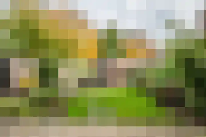 Muidenstraat 21 Emmeloord thumbnail 34