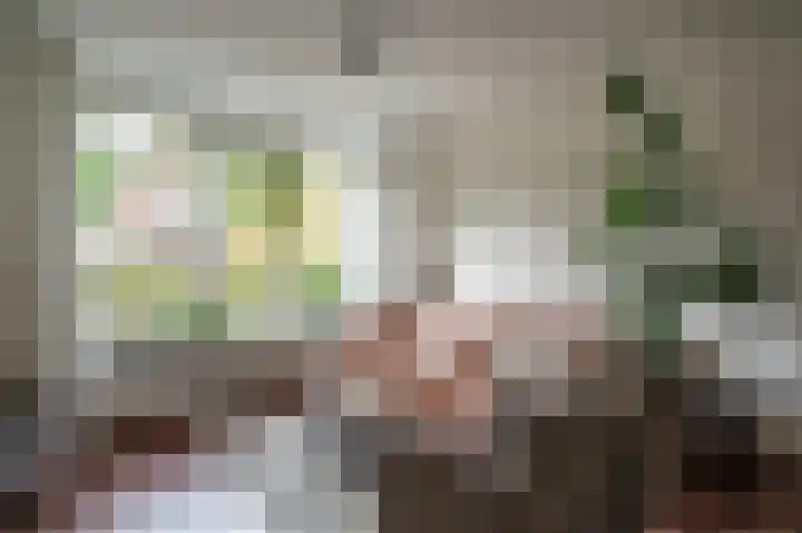 Muidenstraat 21 Emmeloord thumbnail 7