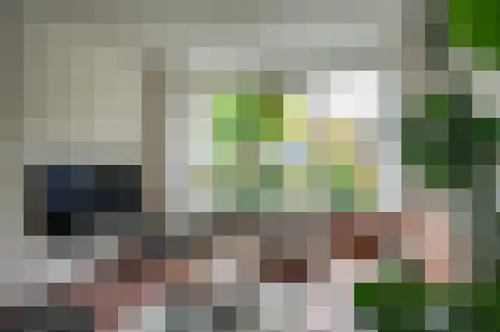 Muidenstraat 21 Emmeloord thumbnail 8