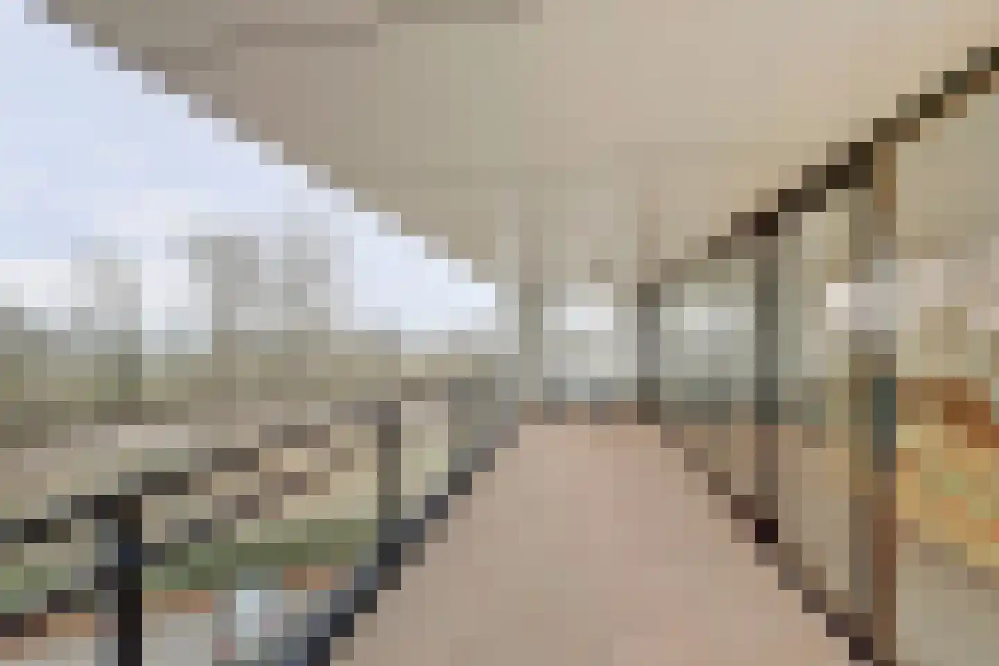 Muidenweg 1 P Arnemuiden thumbnail 24