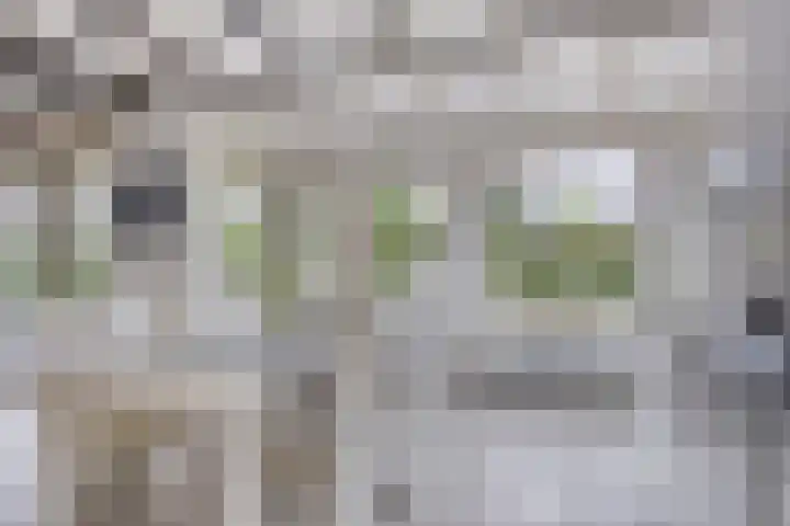 Muidenweg 181 Wolphaartsdijk thumbnail 10