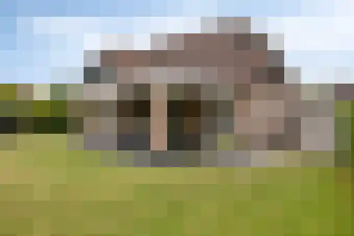 Muidenweg 181 Wolphaartsdijk thumbnail 24