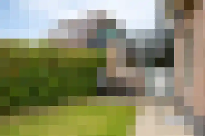 Muidenweg 181 Wolphaartsdijk thumbnail 25
