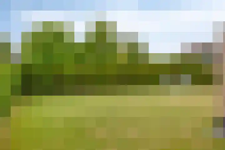 Muidenweg 181 Wolphaartsdijk thumbnail 27