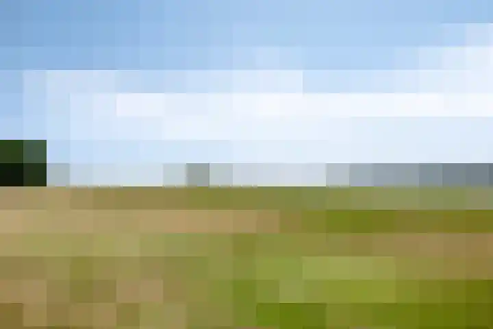 Muidenweg 181 Wolphaartsdijk thumbnail 30
