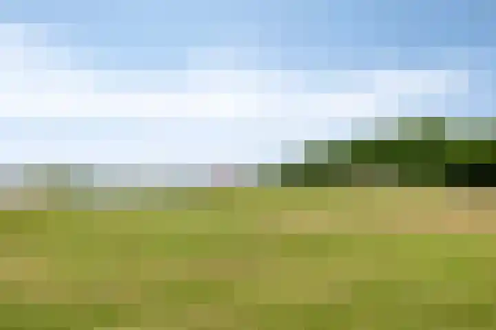 Muidenweg 181 Wolphaartsdijk thumbnail 31