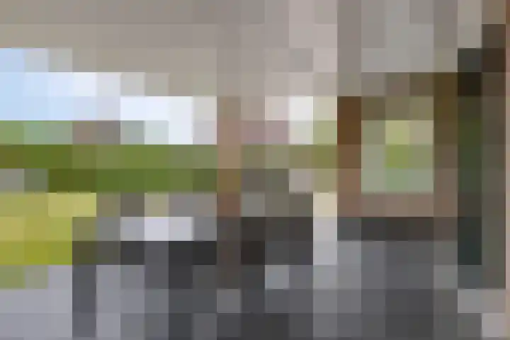 Muidenweg 181 Wolphaartsdijk thumbnail 4