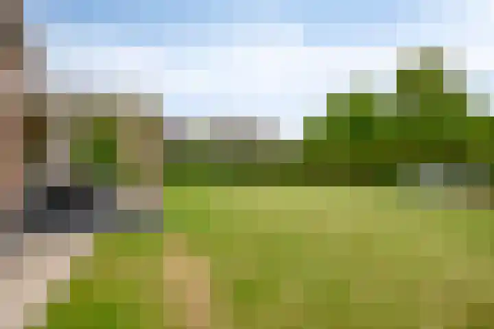 Muidenweg 181 Wolphaartsdijk thumbnail 5