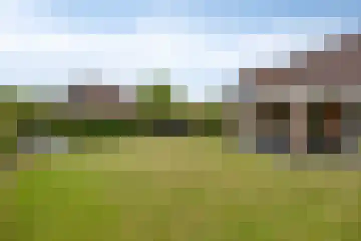 Muidenweg 181 Wolphaartsdijk thumbnail 6