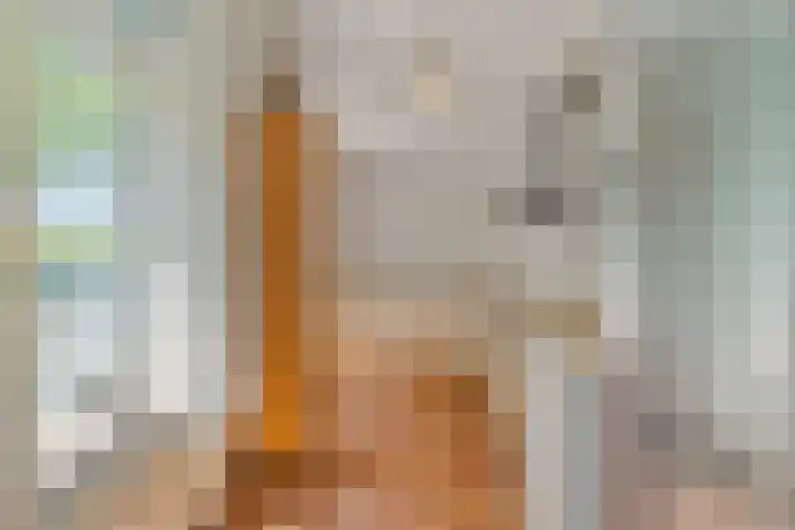 Muidenweg 201 Wolphaartsdijk thumbnail 13