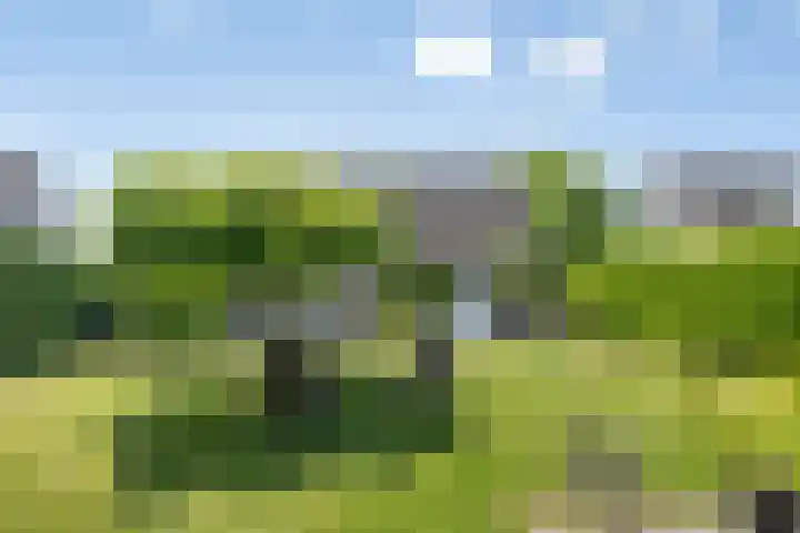 Muidenweg 201 Wolphaartsdijk thumbnail 28