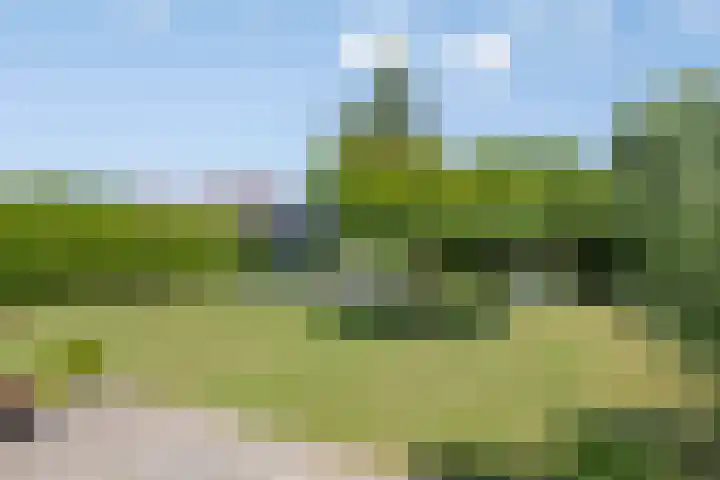 Muidenweg 201 Wolphaartsdijk thumbnail 29