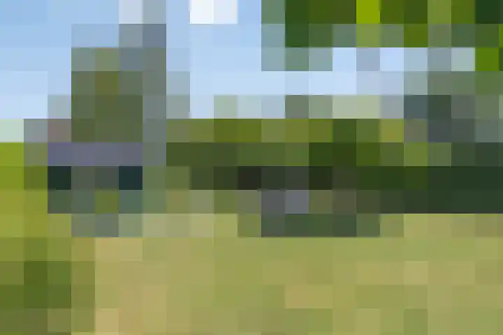 Muidenweg 201 Wolphaartsdijk thumbnail 30