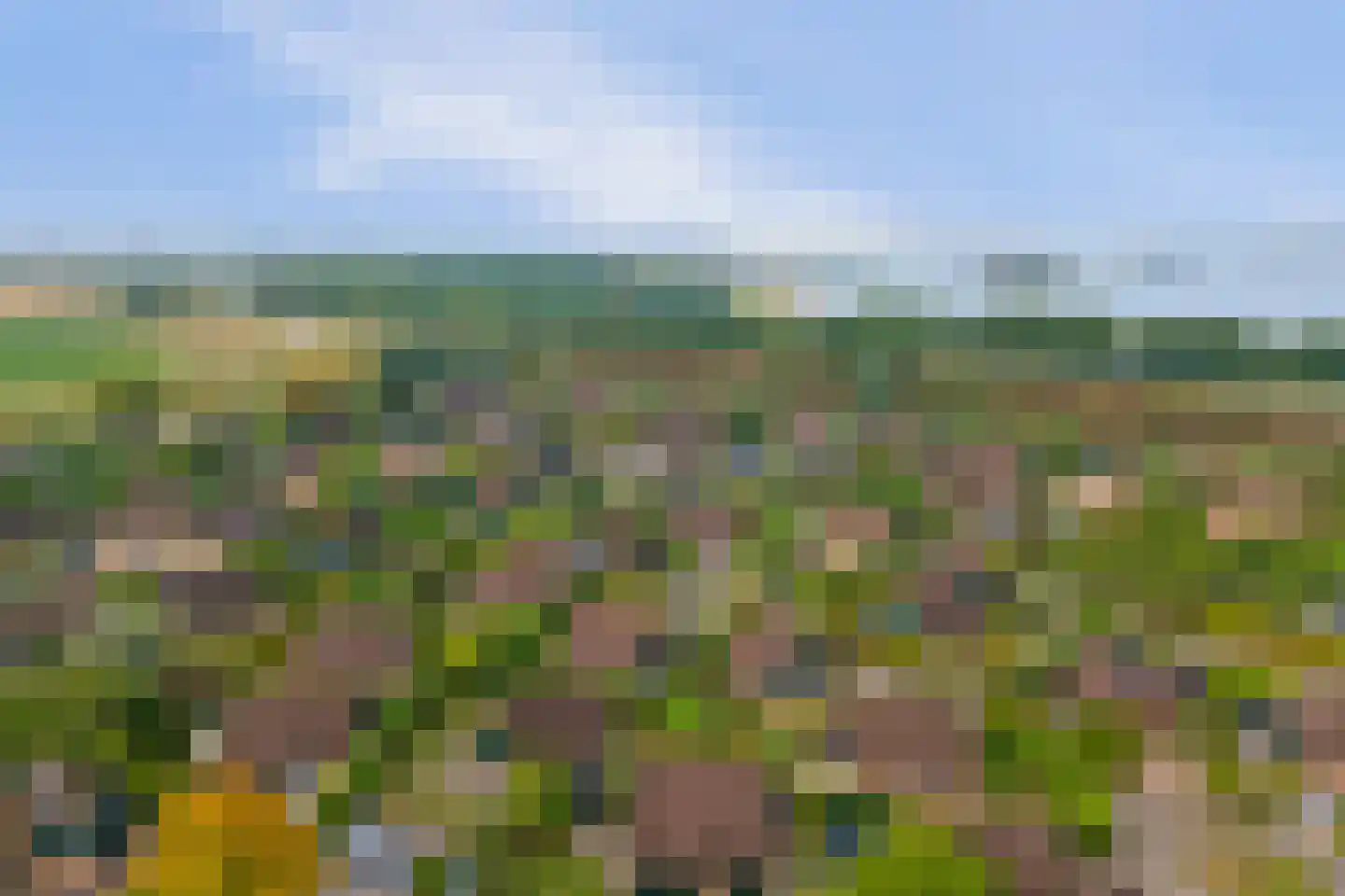Muidenweg 35 Wolphaartsdijk thumbnail 32