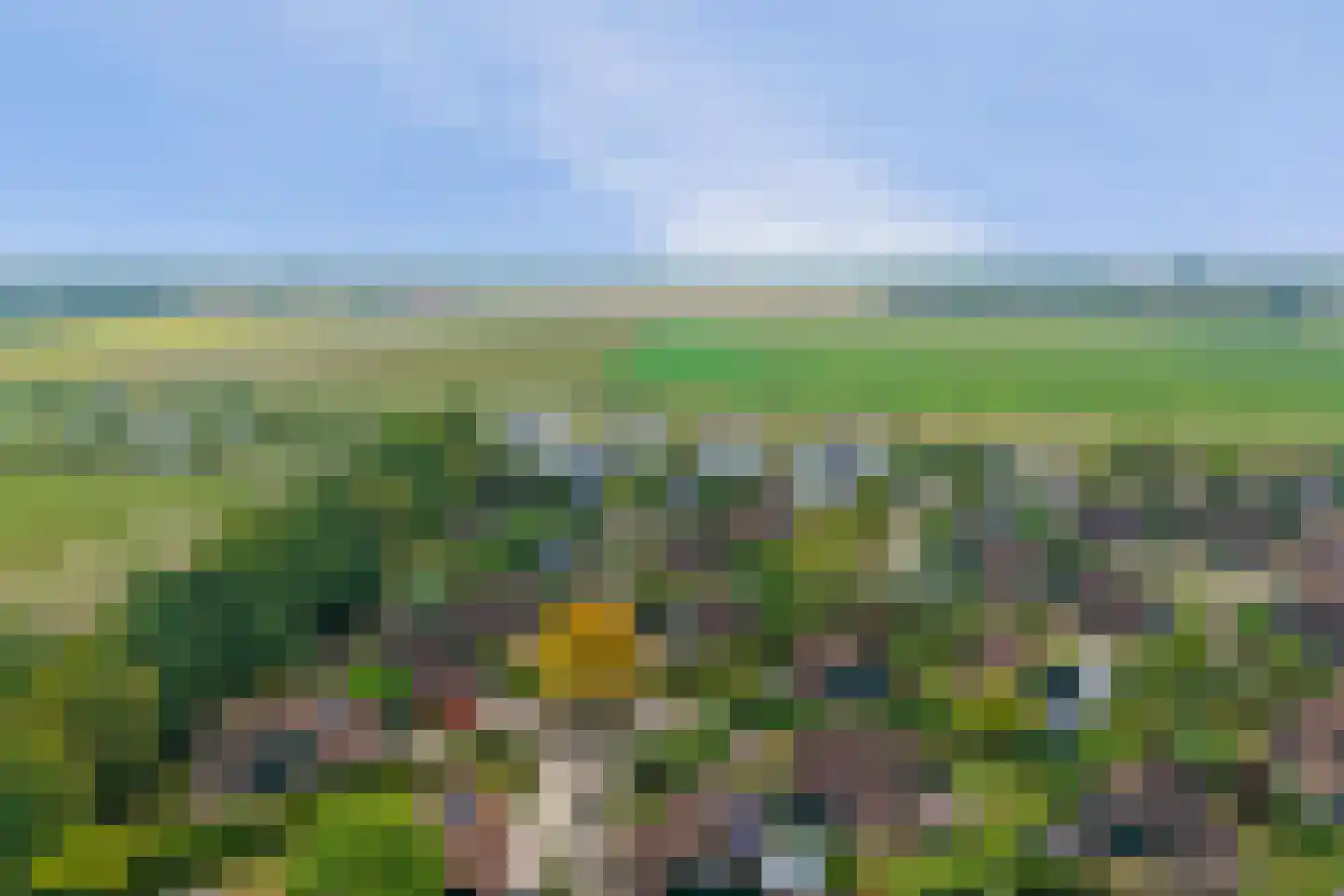 Muidenweg 35 Wolphaartsdijk thumbnail 33