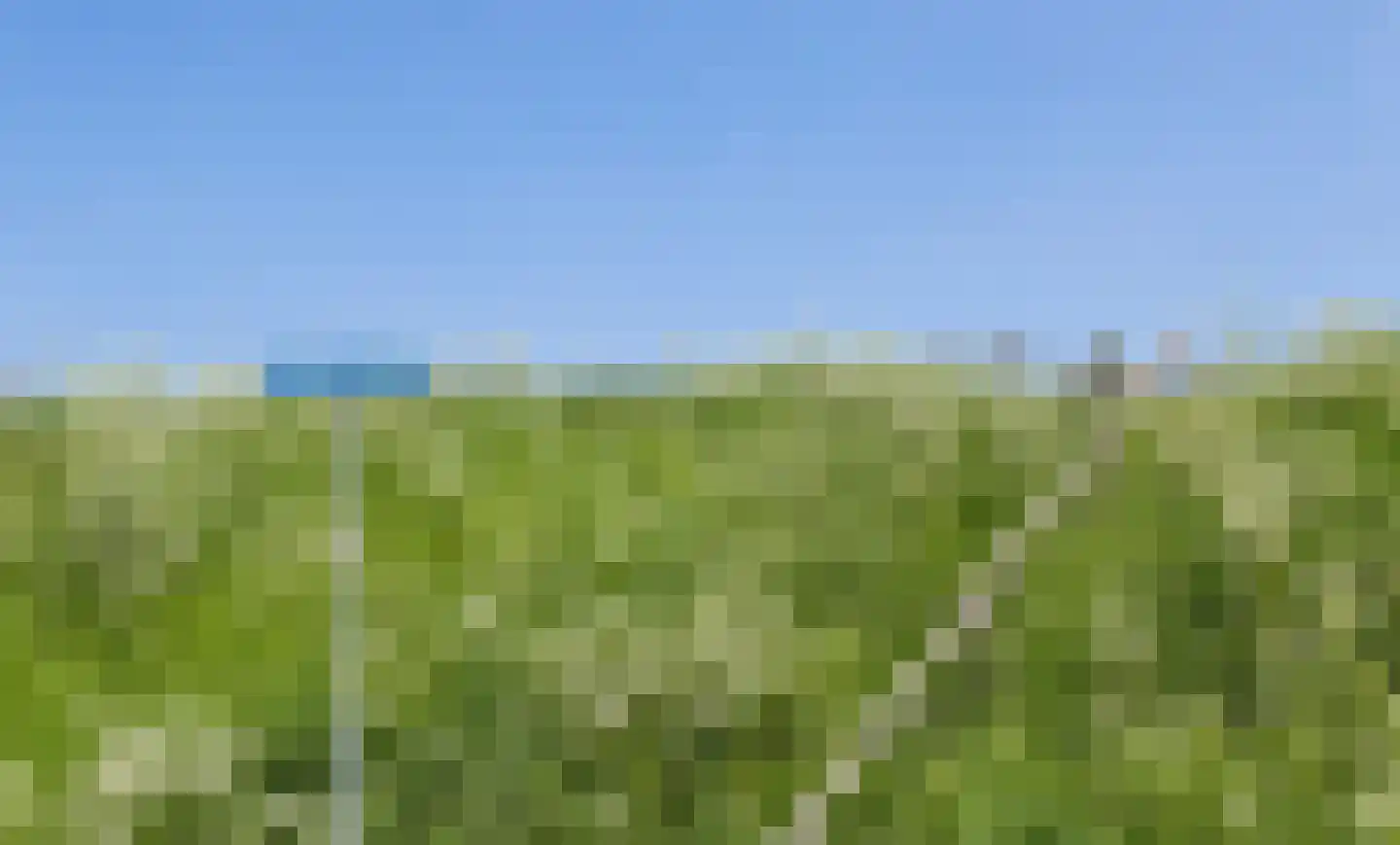 Muidenweg 35 Wolphaartsdijk thumbnail 38