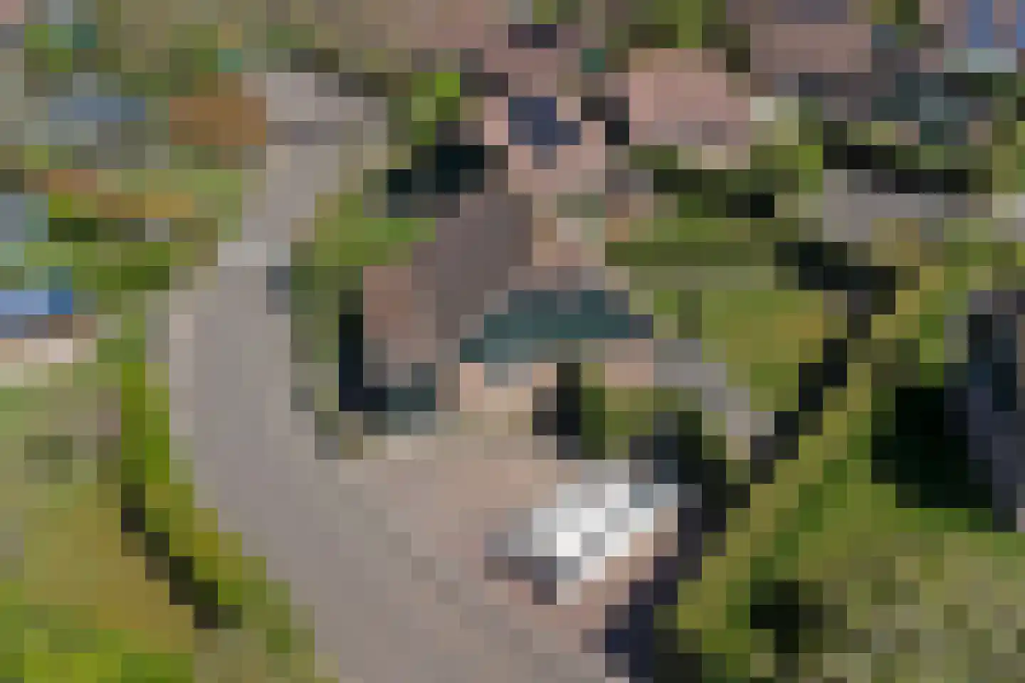Muidenweg 49 Wolphaartsdijk thumbnail 30