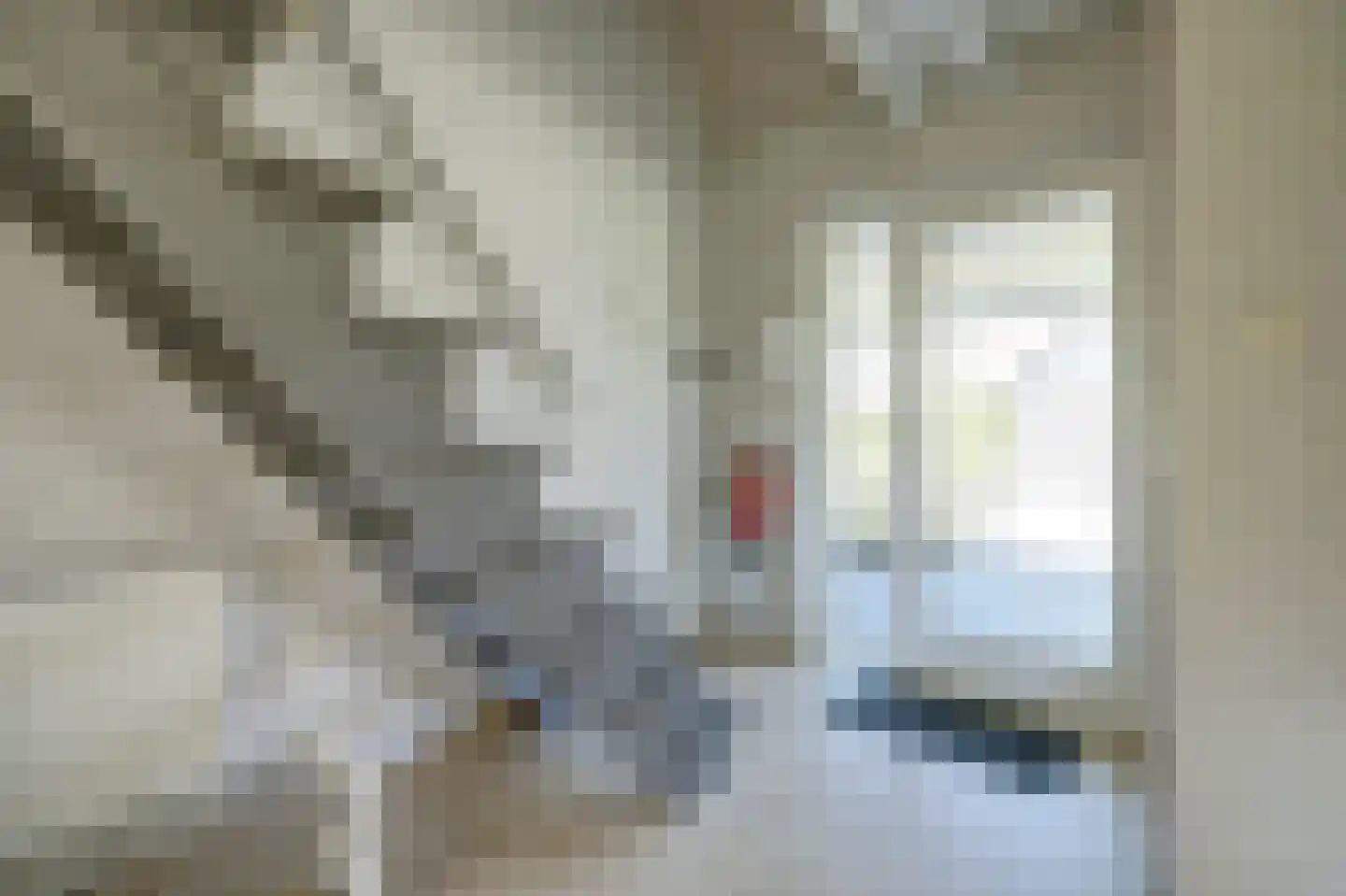 Muidenweg 49 Wolphaartsdijk thumbnail 6