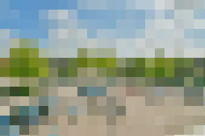 Muiderbos 10 Hoofddorp thumbnail 13