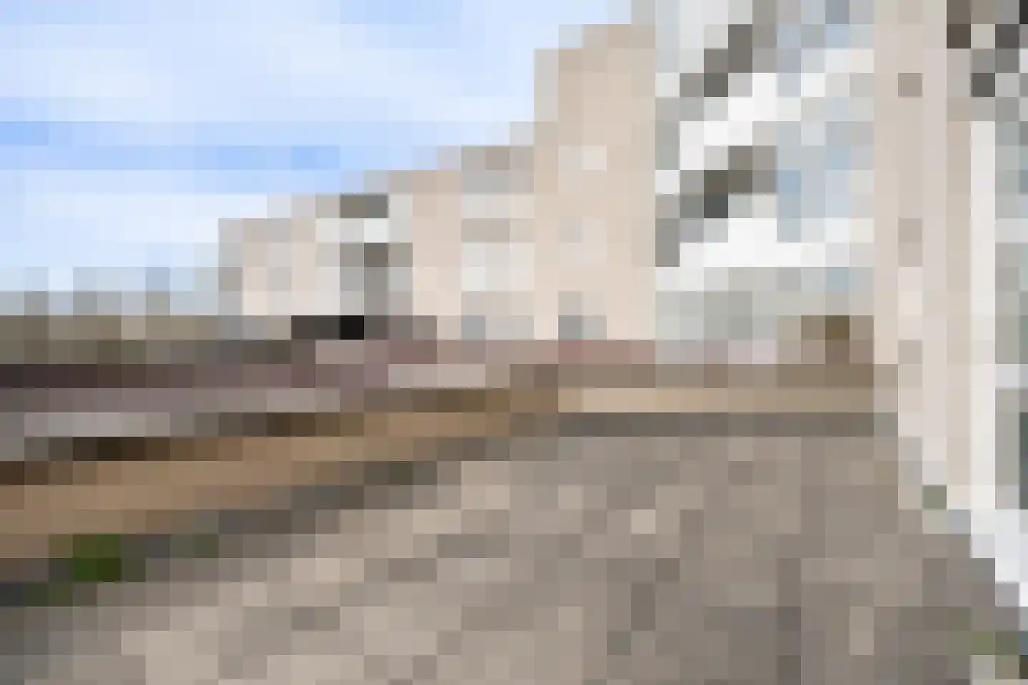 Muiderbos 184 Hoofddorp thumbnail 19